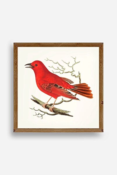 CT STONES Bird Wooden Framed Painting