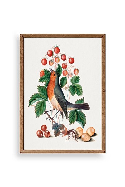 CT STONES Bird on the Branch Wooden Framed Painting