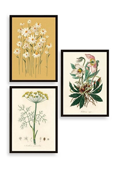 CT STONES Flower Triple Wooden Framed Painting