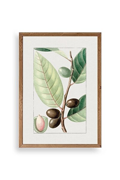 CT STONES Olive Branch Wooden Framed Painting