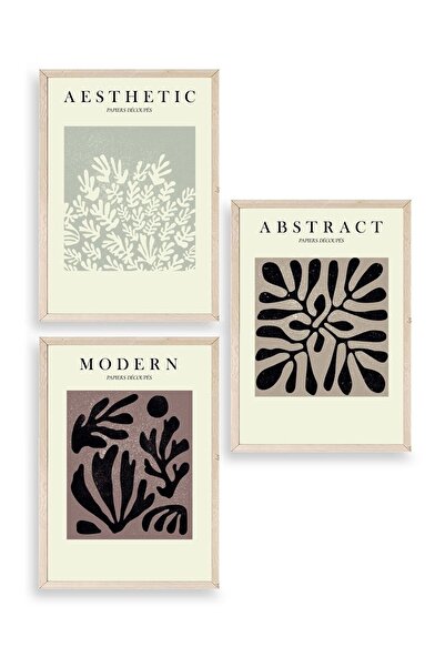 CT STONES Modern Triple Wooden Framed Painting