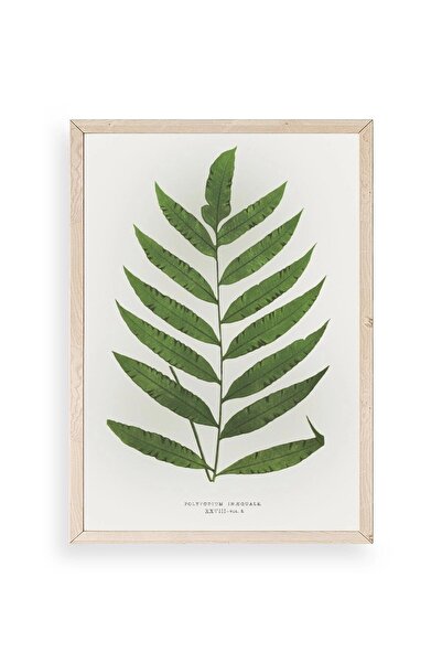 CT STONES Leaf Wooden Framed Table