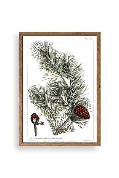 CT STONES Pine Wood Framed Table