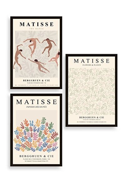 CT STONES Matisse Triple Wooden Framed Painting