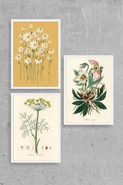 CT STONES Flower Triple Wooden Framed Painting