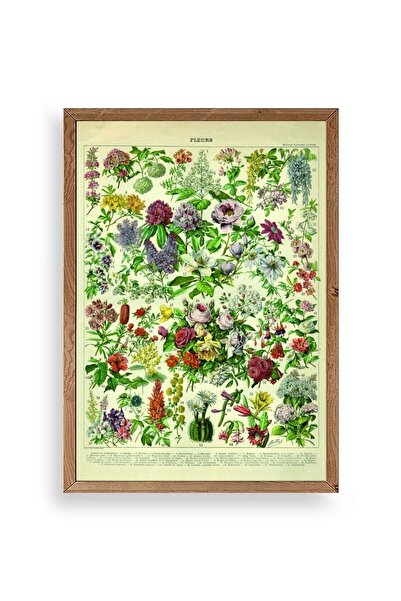 CT STONES Flowers Wooden Framed Painting