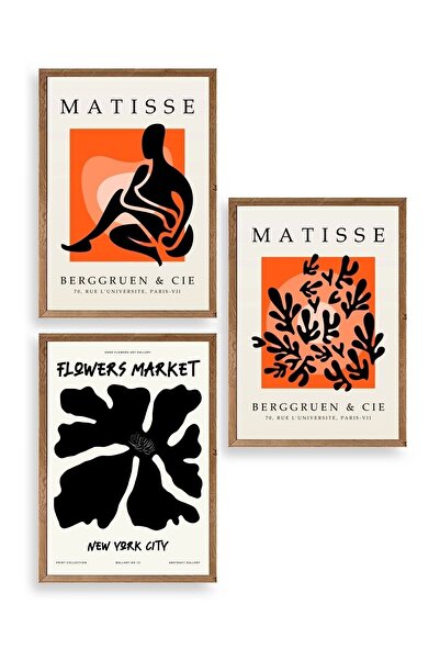 CT STONES Matisse Triple Wooden Framed Painting