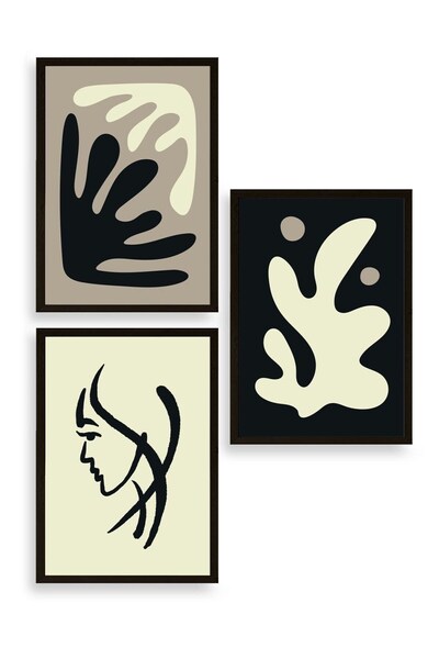 CT STONES Abstract Triple Wooden Framed Painting