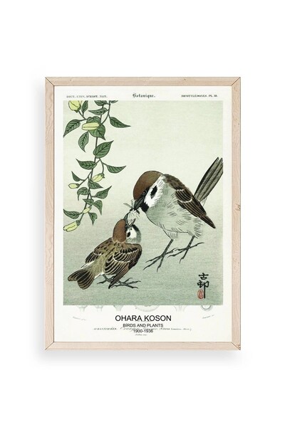 CT STONES Birds Wooden Framed Painting