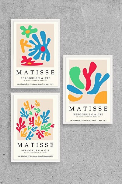 CT STONES Matisse Triple Wooden Framed Painting