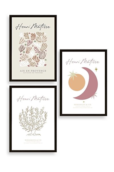 CT STONES Matisse Triple Wooden Framed Painting