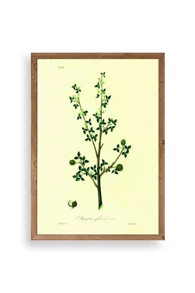 CT STONES Leaves Wooden Framed Painting