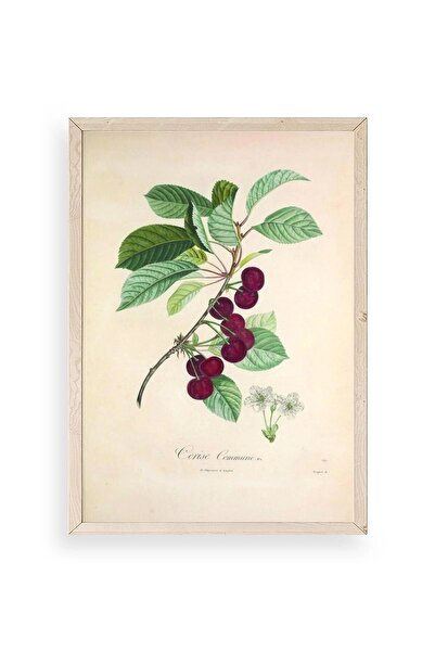 Twin Store لوحة مؤطرة بالفواكه الخشبية