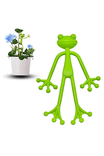 N&M STORE مثبت نباتات على شكل ضفدع - مشبك لتثبيت الأغصان والجذوع للنباتات في ...