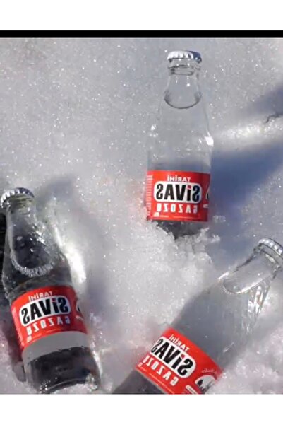 OZTUGBA Tarihi Sivas Gazozu 250 ml × 24 adet