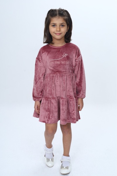 Toontoy Girl's Embroidered Dress