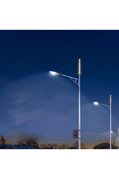 HAMER Outdoor pole light, yellow light color, 20 watts