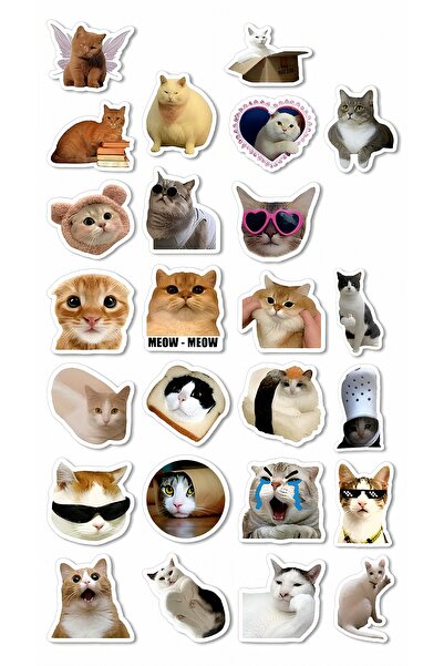 BENİMSER REKLAM Komik Kedi Yüz İfadeleri Sticker Seti – 22x30 cm | Laptop & M...