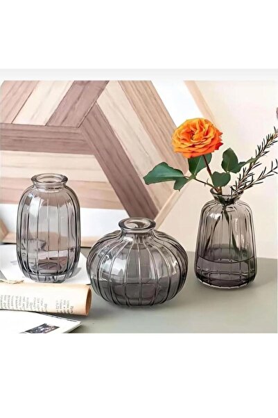 PEKİBU Set of 3 Minimalist Decorative Glass Bottle Vases Smoked