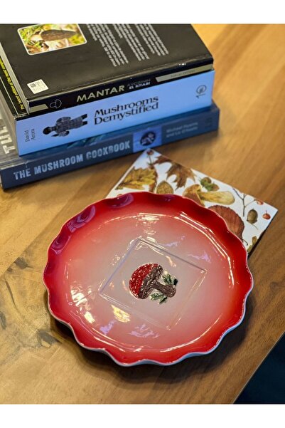 MeGgDecor 1 Adet El Yapımı El Boyaması Şekilsiz Formlu 21cm Seramik Tabak -,Mantar Desenli