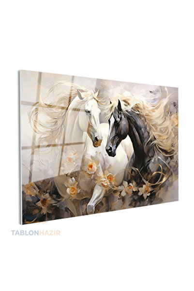 tablonhazır Yatay Cam Tablo Salon Duvar Tablosu Yatay Cam Cift At Siyahbeyaz ...