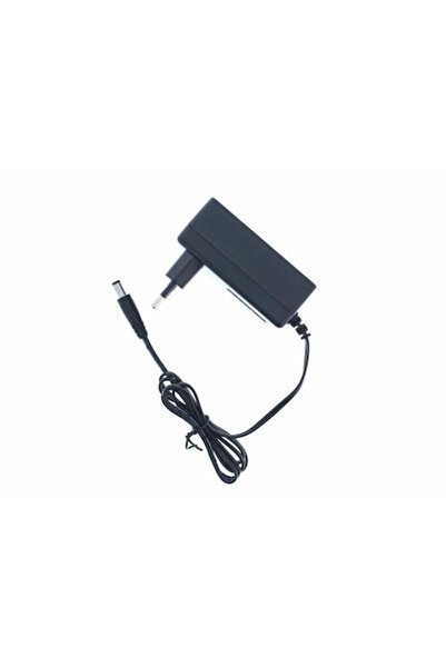 Well Sursă de alimentare AC/DC 12V 2000mA