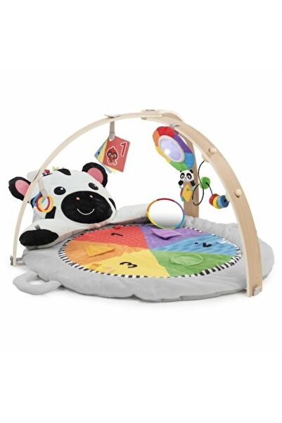 Baby Einstein Play Mat Paixte Mat, 1+ year, Multicolor