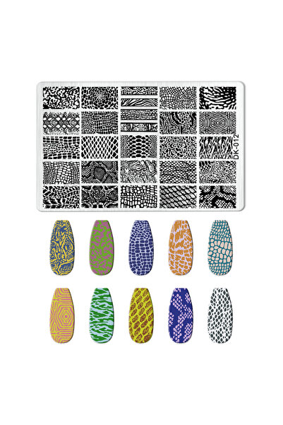 Choice DK-12 Animal Image Snake Leopard Nail Stamping Tiger Zebra Leopard Snake Design Printing Plates Nail