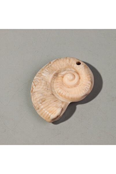 Choice beige 2pcs Colorful 53x68MM Extra Large Conch Shell Acrylic Charms Pen...