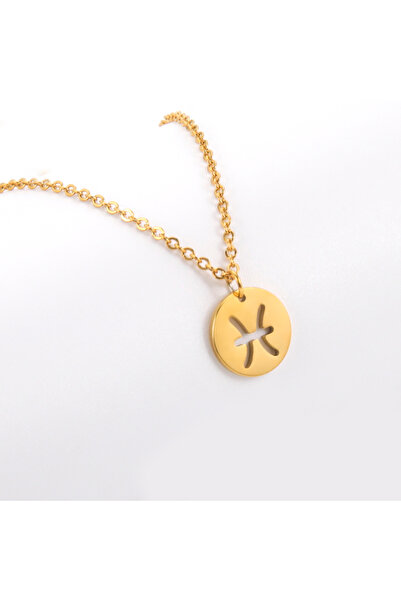 Choice قلادات فضية من الفولاذ المقاوم للصدأ على شكل نجمة برج الحوت بطول 45 سم...