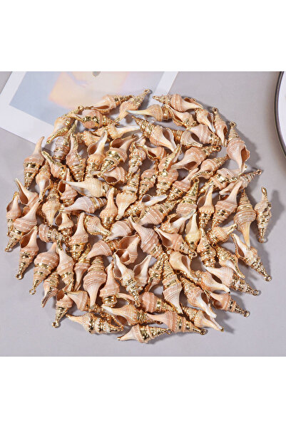 Choice M621 5 قطع من الأصداف المثقبة الملونة، أصداف محارة حلزونية، 20 نمطًا م...