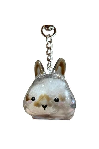 Choice B Cute Rabbit Shape Transparent Rabbit Fur Storage Box Hair Storage Pe...