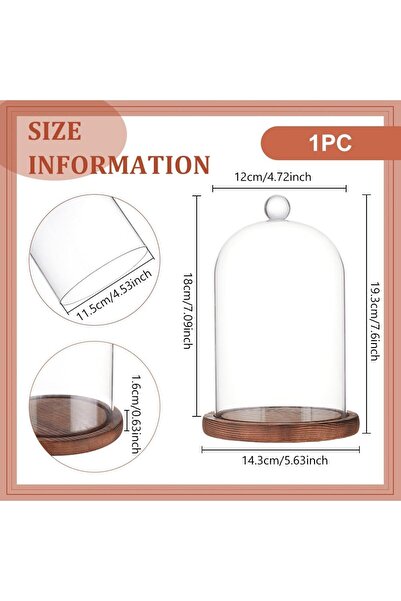 Choice AECH02-18197 جرس زجاجي على شكل قبة مقاس 7×5 بوصة مع قاعدة خشبية، جرس ز...