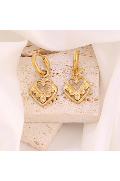 Choice أقراط هاجيز على شكل قلب من الفولاذ المقاوم للصدأ B3654 316L للنساء، أق...