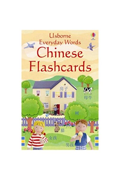 Usborne Publishing Everyday Words Chinese (Mandarin) flashcards, activity car...