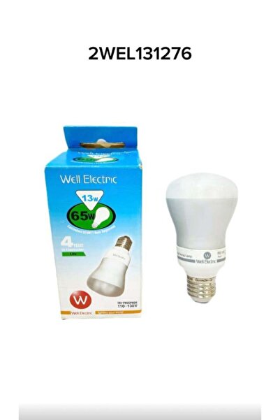 WELL ELECTRIC WELL R 63 13w 110v E27 GRN Capsule, 5 capsules
