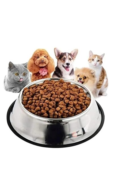 Efendishop 2 ADET Kedi Köpek Çelik Metal Mama ve Su Kabı