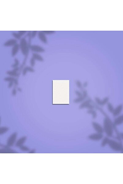 STALEKS PRO Dikdörtgen Şekillendirici Mini Buffer Törpü 100/180 Grit, 50'li S...