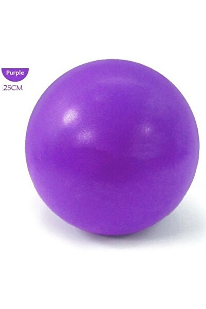 Choice كرة يوغا قابلة للنفخ بنفسجية اللون، 25 سم، متعددة الأغراض، رياضية، لياقة بدنية، بيلاتس، عملية للتوازن، مناسبة للتمارين الرياضية.