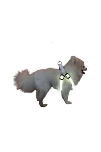 CETECHNOLOGY Ham pentru câini cu LED, reglabil, durabil, alimentat cu baterii...