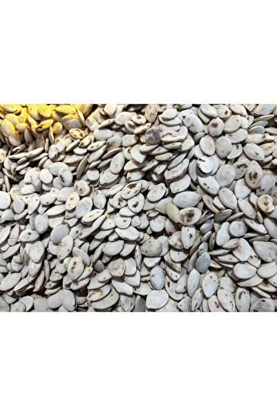 Turuncu Kuruyemiş Turuncu Kavrulmuş Ak Kabak Çekirdeği- 250gr