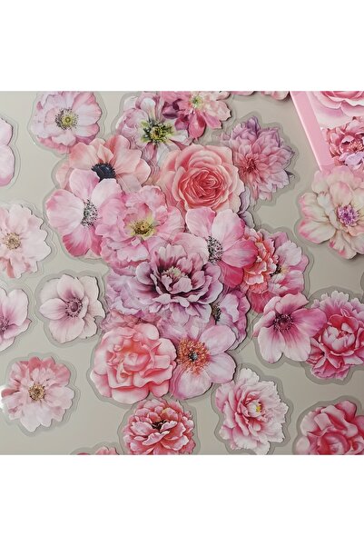 Choice F 50 قطعة/عبوة ملصقات زهور ونباتات مائية عتيقة، مثالية لتزيين دفتر الي...