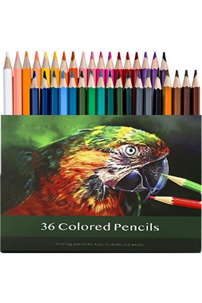 Choice ٣٦ قلم تلوين، أقلام تلوين عالية الجودة للفنانين المحترفين وفناني التلوين البالغين.