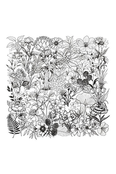 Choice ٥٠ قطعة من ملصقات الزهور والنباتات الكلاسيكية باللونين الأبيض والأسود،...