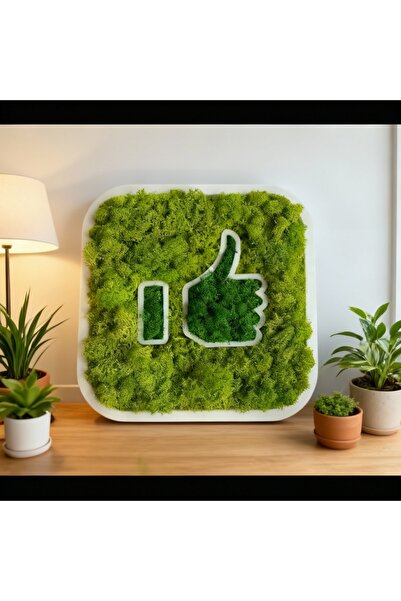 Studio Design Decoratiune din licheni stabilizați LIKE