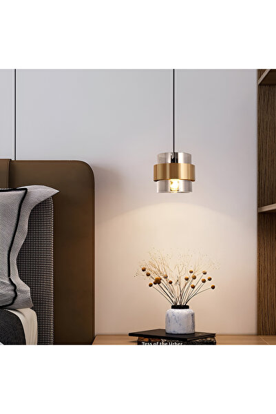 ALC-Shop Lustra Suspendata LC855/1GY, 1XE27, Inaltime Reglabila, Sticla si Metal