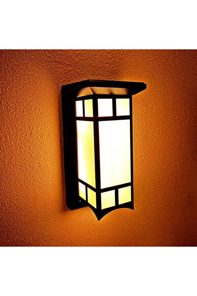 ALC-Shop Outdoor LED Wall Lamp AX141BK 20W Black White