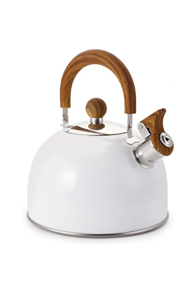 Epilons Stainless Steel Teapot White Color