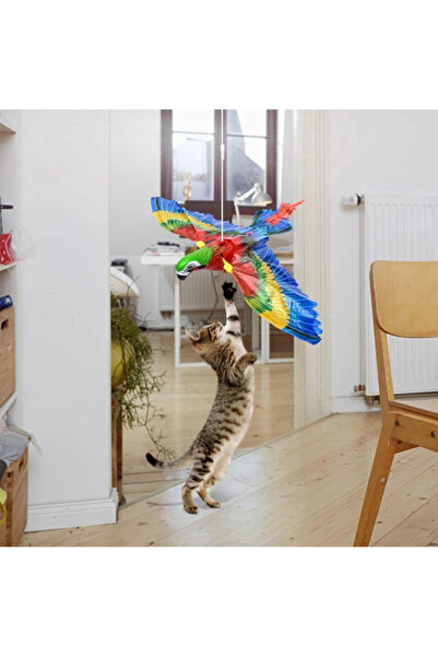 Epilons Flying Parrot Cat Toy Zenvi̇a-4567