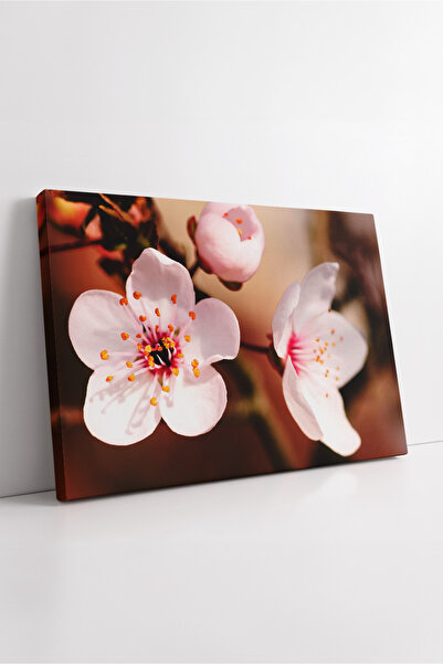 KOSS Dijital Minimal Elegant Floral Themed Decorative Canvas Painting in Soft Tones with Spring Flower Blossom Detail